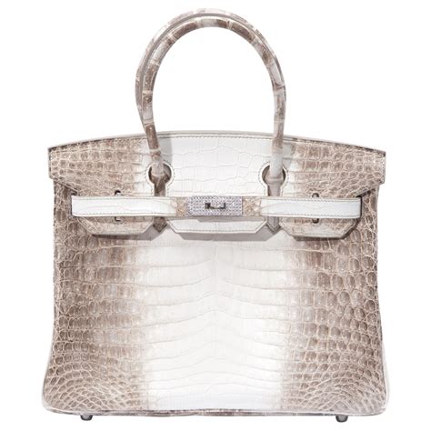 30cm himalayan birkin bag.